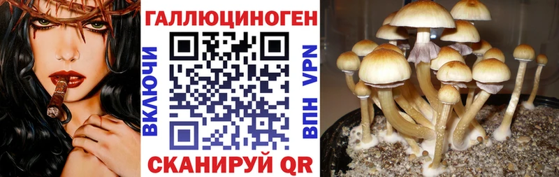хочу наркоту  Боровск  Галлюциногенные грибы ЛСД 